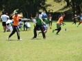 Tn dsc 0971